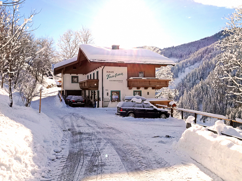 Apartmány Paulina APP - Saalbach